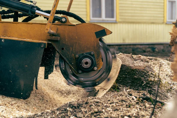 Removal Tree Stump Using Stump Cutter Cutting Grinding Fine Chips — Stock Photo, Image