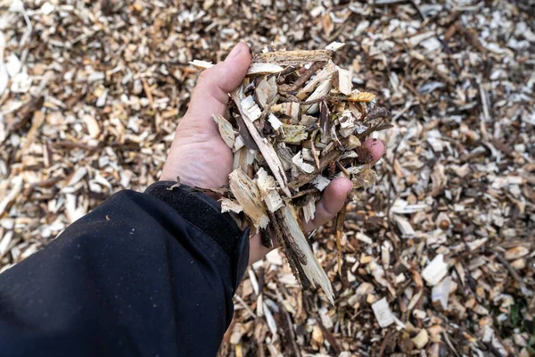 The wood chips are taken in a handful and shown as it looks. In the background you can see a stack of chips in the truck\'s box.