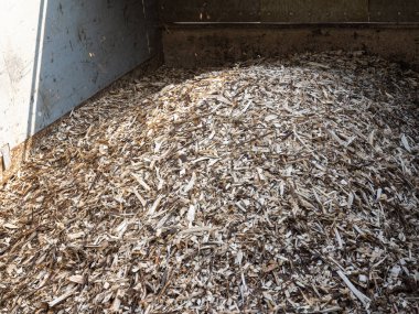 Çöp kamyonunda yeni doğranmış dal parçaları var. Çip, eşit parçalara ayrılmış dallardan ve daha uzun bir çip parçasından oluşuyor..