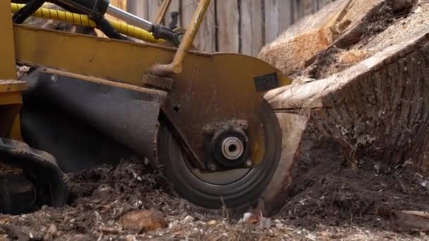 Pohled Zblízka Kulatou Frézovací Hlavu Frézy Nebo Brusky Pahýly Která — Stock video