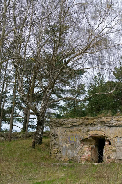 Paisagem Paisagem Primavera Com Vidoeiro Abandonado Exército Antigo Para — Fotografia de Stock