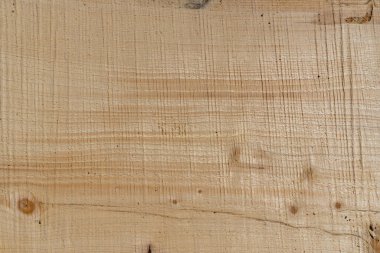 Ladin ahşap yaban domuzu üst görünümü