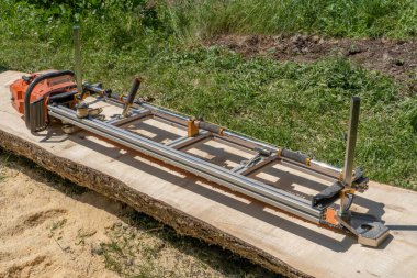 Elektrikli testere değirmeni kullanarak yerde yatan büyük bir ağaç kesiyor.