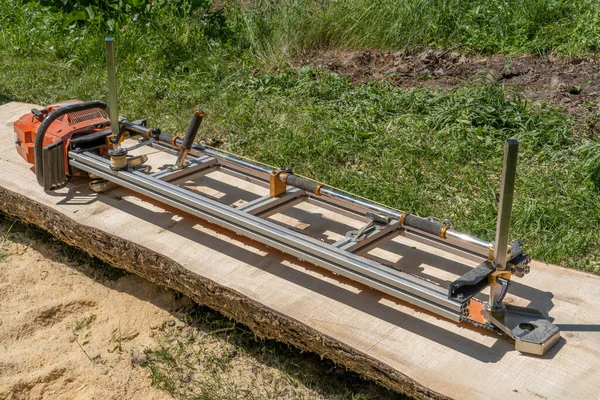 Elektrikli testere değirmeni kullanarak yerde yatan büyük bir ağaç kesiyor.