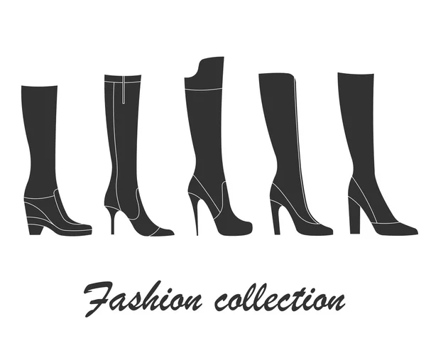 Συλλογή μόδας μπότες των γυναικών. — Διανυσματικό Αρχείο