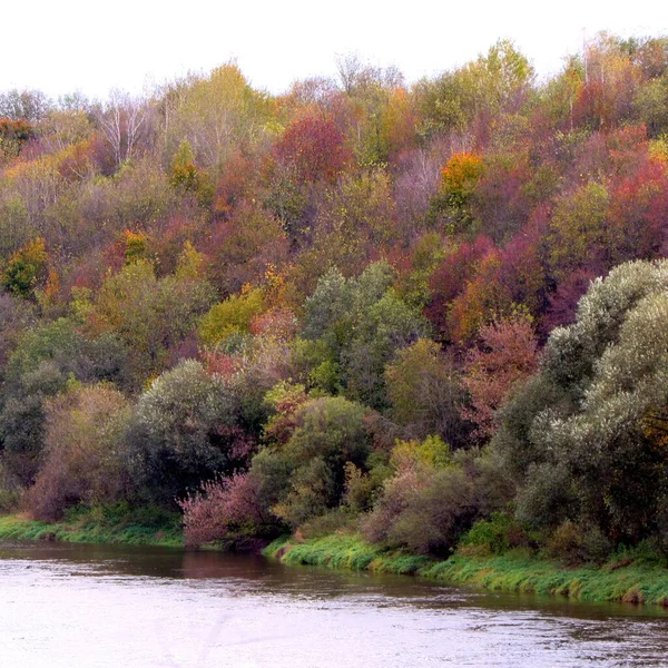 Natureza Outono Belas Árvores Coloridas Perto Água — Fotografia de Stock