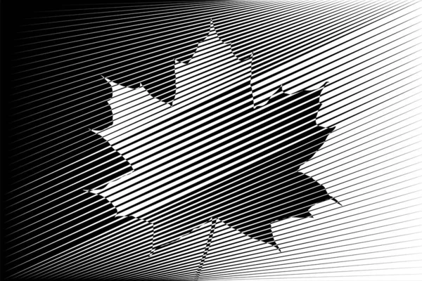 Maple Leaf Line Art Black White Haltone Lines Pattern Vector — 스톡 벡터