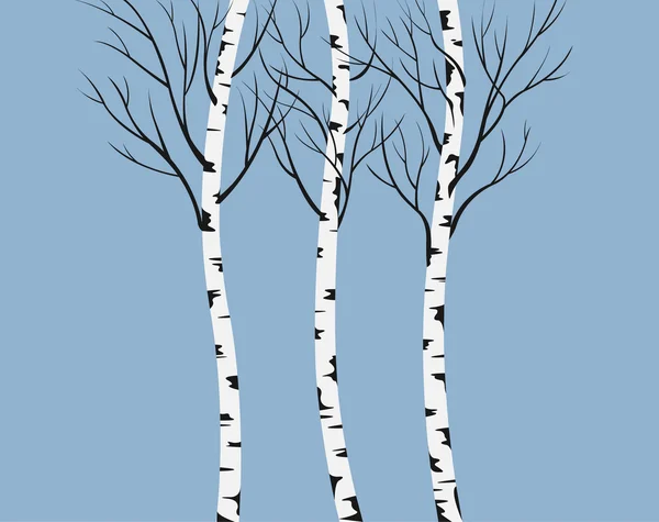 Birches. — Stock Vector