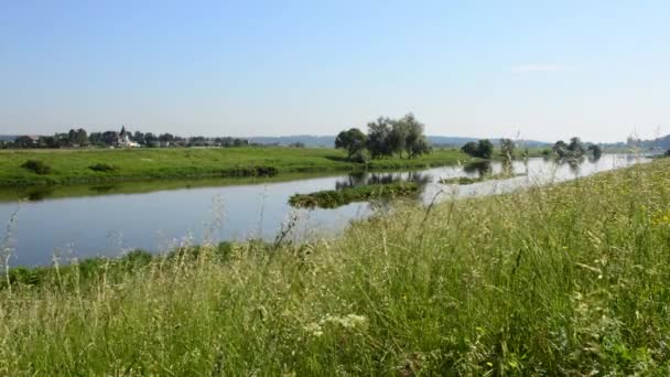 Gassland Aan Oever Van Rivier — Stockvideo