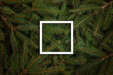 Noel ağacı dallarında beyaz çerçeve
