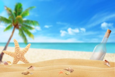 kabukları, deniz yıldızı, şişe bir mesaj ile plaj