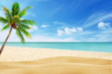 arka plan palmiye ve deniz plajında kum