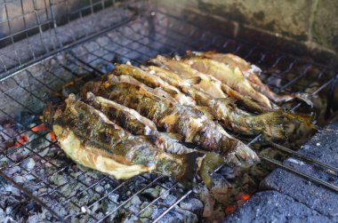 taze alabalık ızgara