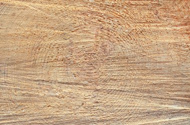 kaba doku kesilmiş ağaç