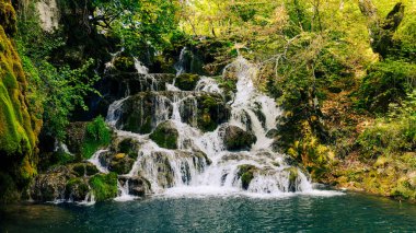 Freshwater stream falling over mossy rocks surrounded by lush trees