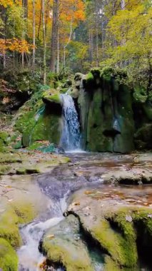 İnsansız hava aracı yeşil yosunlarla kaplı ve sonbahar orman renkleriyle çevrili küçük bir şelaleye doğru yavaşça ilerliyor.