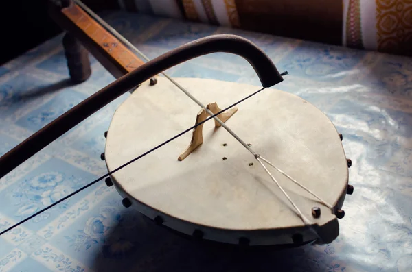 Gusle serbio instrumento de música tradicional —  Fotos de Stock