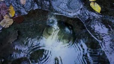 Sonbahar yaprakları ve yansımaları ile dalgalanan suyun yakın çekim doğal dokuları ve yüzey hareketini vurgulamak için yavaş çekimde yakalanır.