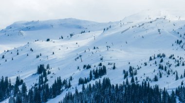 Karlı dağ yamaçlarının geniş hava manzarası kayak kaldırışları ve yumuşak kış ışığı altında dağınık ağaçlar ve bulutlu gökyüzü.