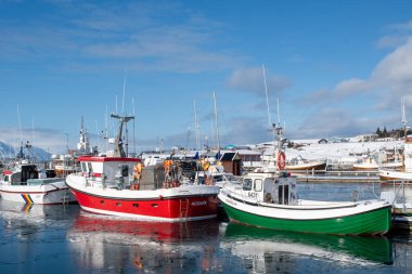 Husavik İzlanda 'da tekneler