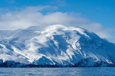 İzlanda 'da kışın kıyı şeridi