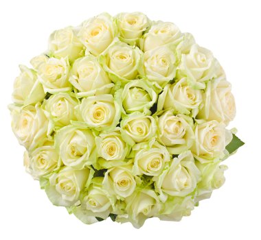 Güzel çiçek kompozisyon