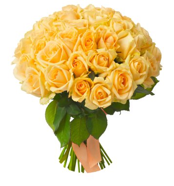 Güzel çiçek kompozisyon