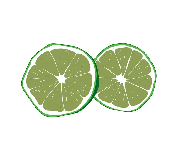 Slices Lime Juicy Fresh Fruit Isolated White Background Vector Illustration — Stock Vector