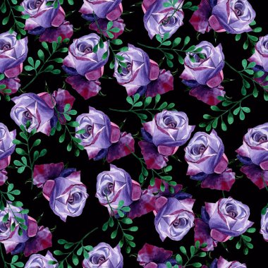 Koyu arkaplanda mor güllerin kusursuz suluboya desenleri. Duvar kağıdı ve tekstil için uygun.