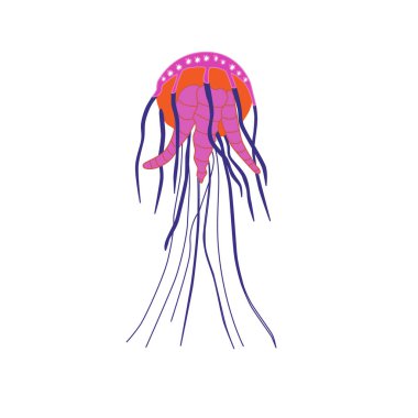Bright pink jellyfish on a white background. Vector illustration of a jelly glowing sea creature. EPS 10.