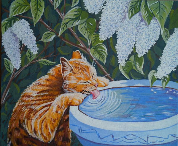 Gato Vermelho Abaixo Lilás Bush Que Bebe Água Uma Fonte — Fotografia de Stock