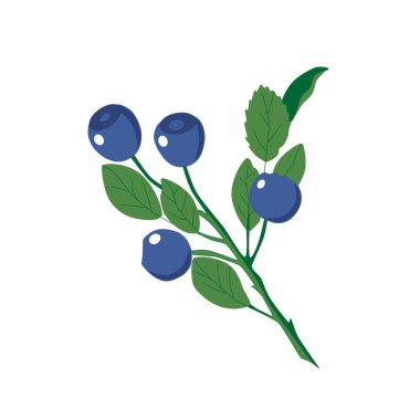  Yabanmersini dalı, beyaz arka planda izole edilmiş. EPS10 vektörü.