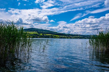 Gökyüzü bulutlu güzel bir göl manzarası - Meisterschwanden, İsviçre