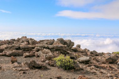 Gökyüzüne karşı manzara manzarası - Hawaii