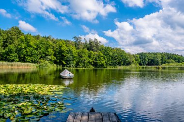 Gölette mavi gökyüzü - Sempach, İsviçre