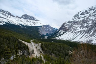Buzsahaları Parkway - Banff Ulusal Parkı, Kanada