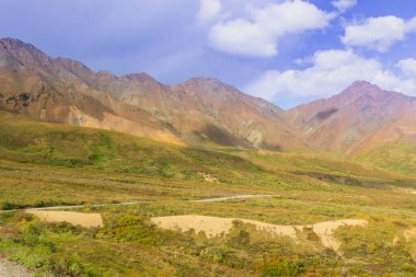 Yaz boyunca Alaska 'daki Denali Ulusal Parkı' nda Polikrom Geçidi Panoraması