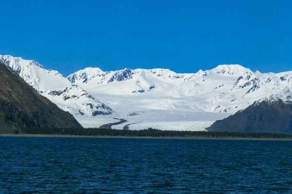 Bear Glacier Εθνικό Πάρκο Kenai Fjords — Φωτογραφία Αρχείου