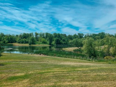 Yeşil arazi güneşli bir gün