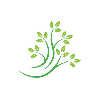 ağaç yaprağı logo tasarım şablonu vektörü