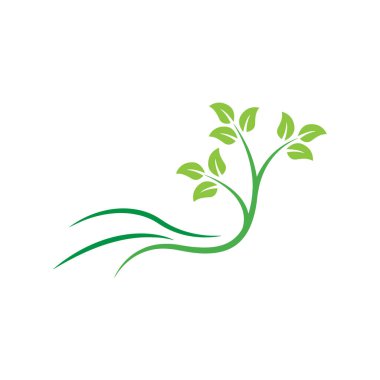 ağaç yaprağı logo tasarım şablonu vektörü