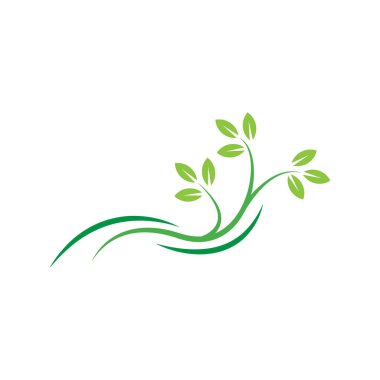 ağaç yaprağı logo tasarım şablonu vektörü
