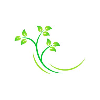 ağaç yaprağı logo tasarım şablonu vektörü