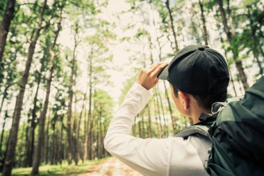 Güneşli bir günde çam ormanında yürüyüş yapan Asyalı bir adam.