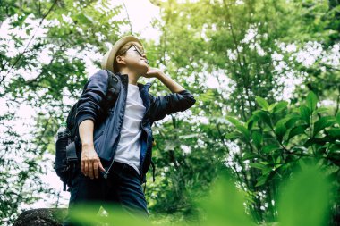 Gezgin dağın zirvesine tırmanmak için ormanda yürür..