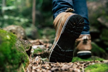 Gezgin dağın zirvesine tırmanmak için ormanda yürür..