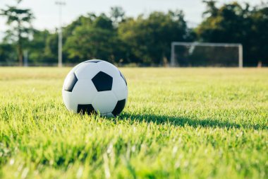 Çimenlikte futbol topu, spor konsepti.