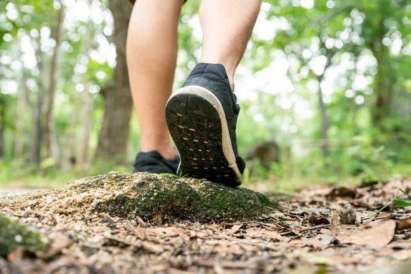 Traveler hike through forest to peak of mountain.