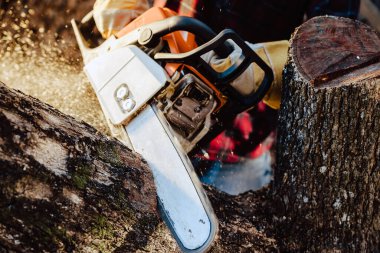 Oduncu kereste atölyesinde testere ile ağacı testereyle kesti