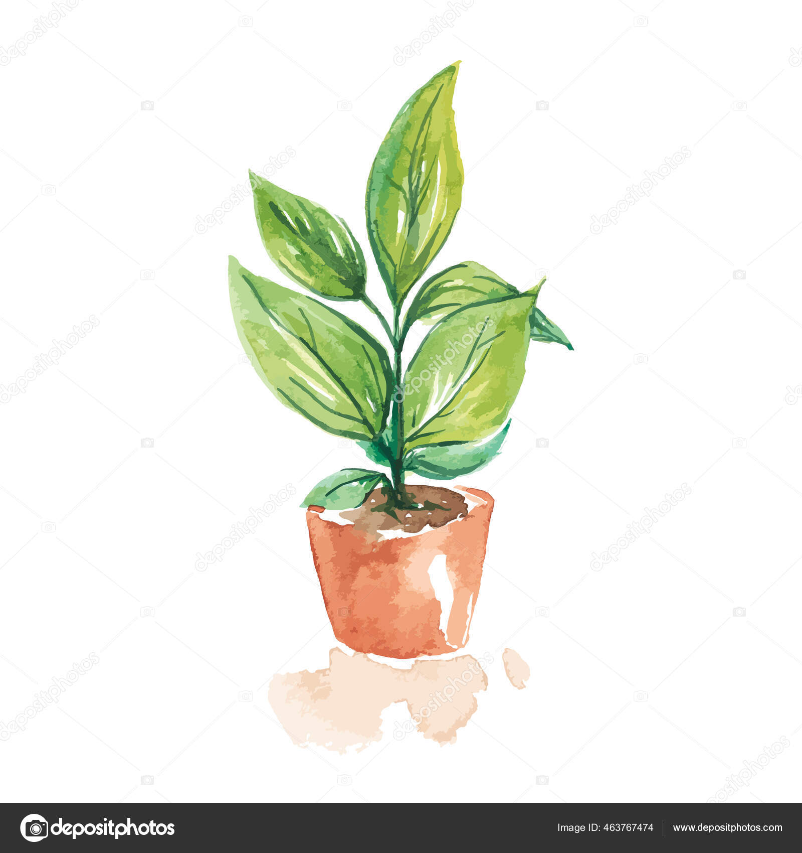 Aquarell Von Topfpflanzen Isoliert Auf Weiß Stock-Vektorbild von  ©thx4stock@hotmail.com 463767474, image size:1600x1700
